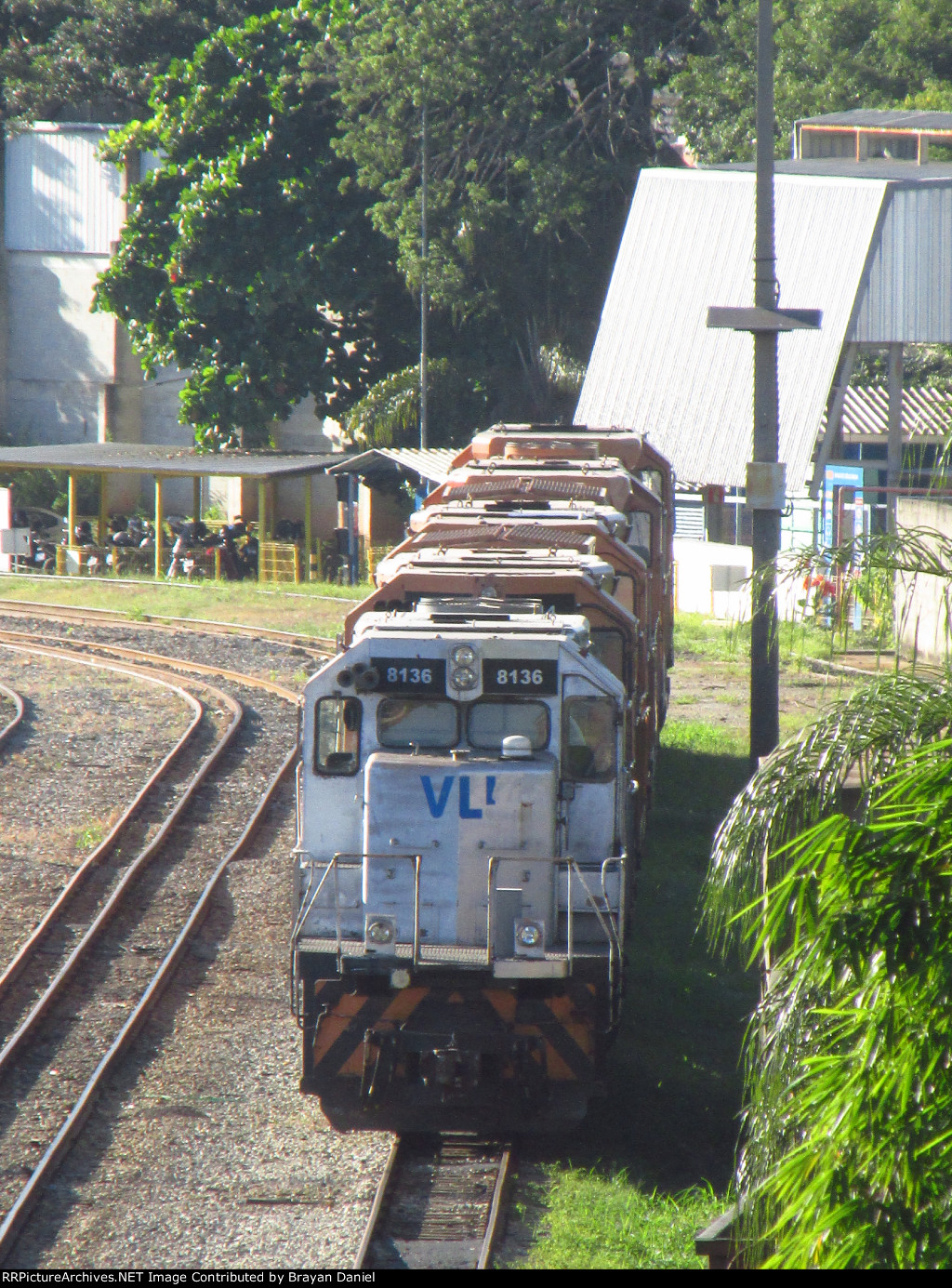 VLI 8136